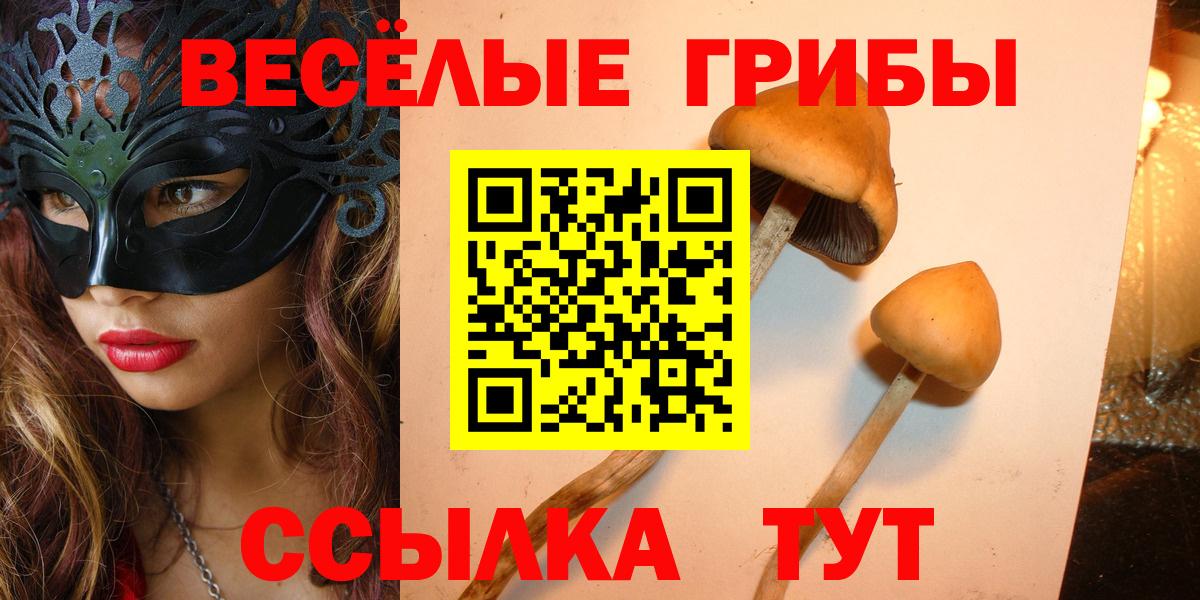Галлюциногенные грибы прущие грибы  Вход с VPN  Беслан 