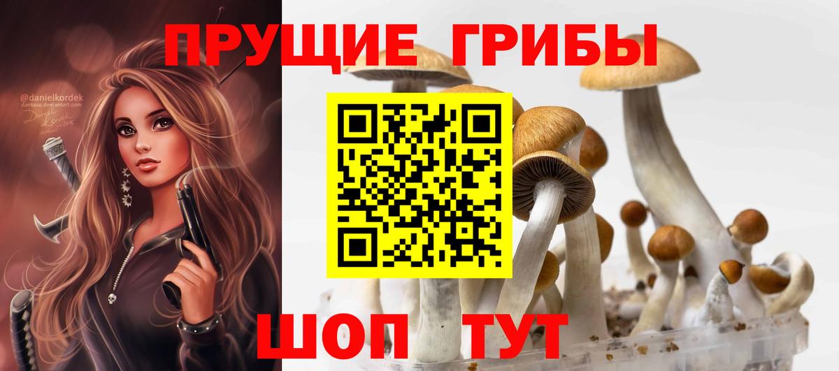 Псилоцибиновые грибы Psilocybe Беслан